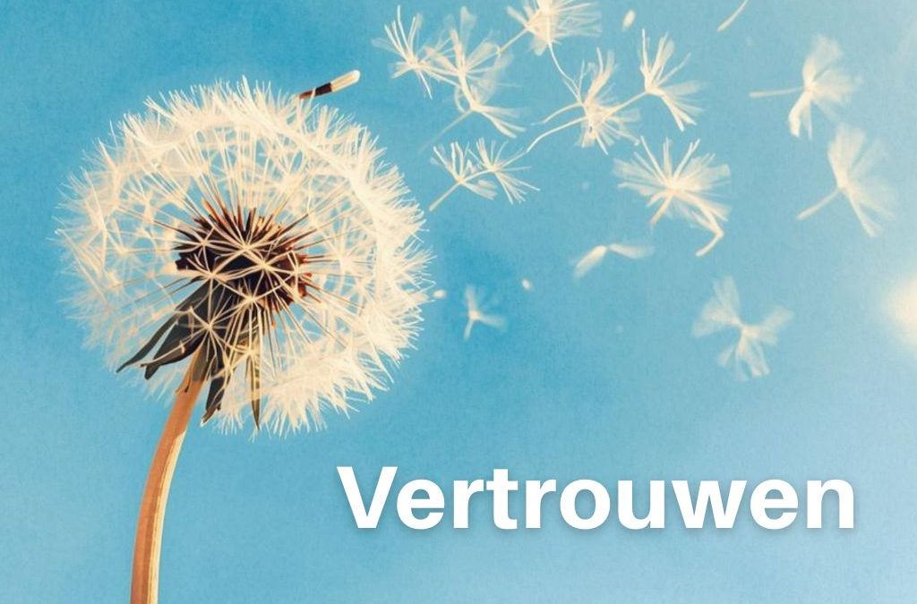 Het toverwoord: trust