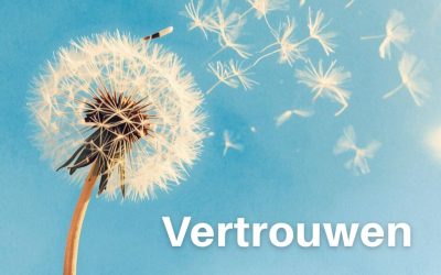 Het toverwoord: trust